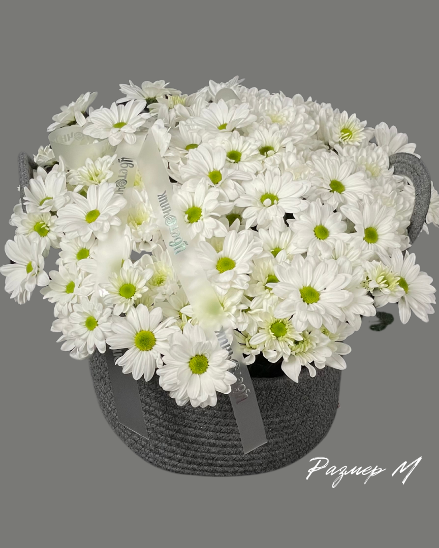 картинка Хризантема в корзине