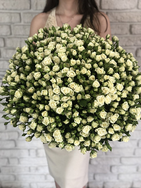 картинка Букет 101 роза-спрей Snowflake 40 см